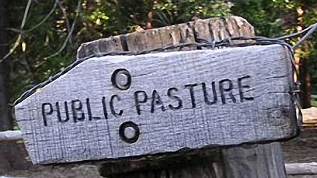public pasture